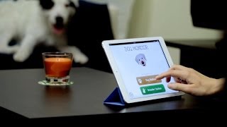 Dog Monitor -  Pet monitoring app for iPhone, iPad and iPod touch screenshot 3