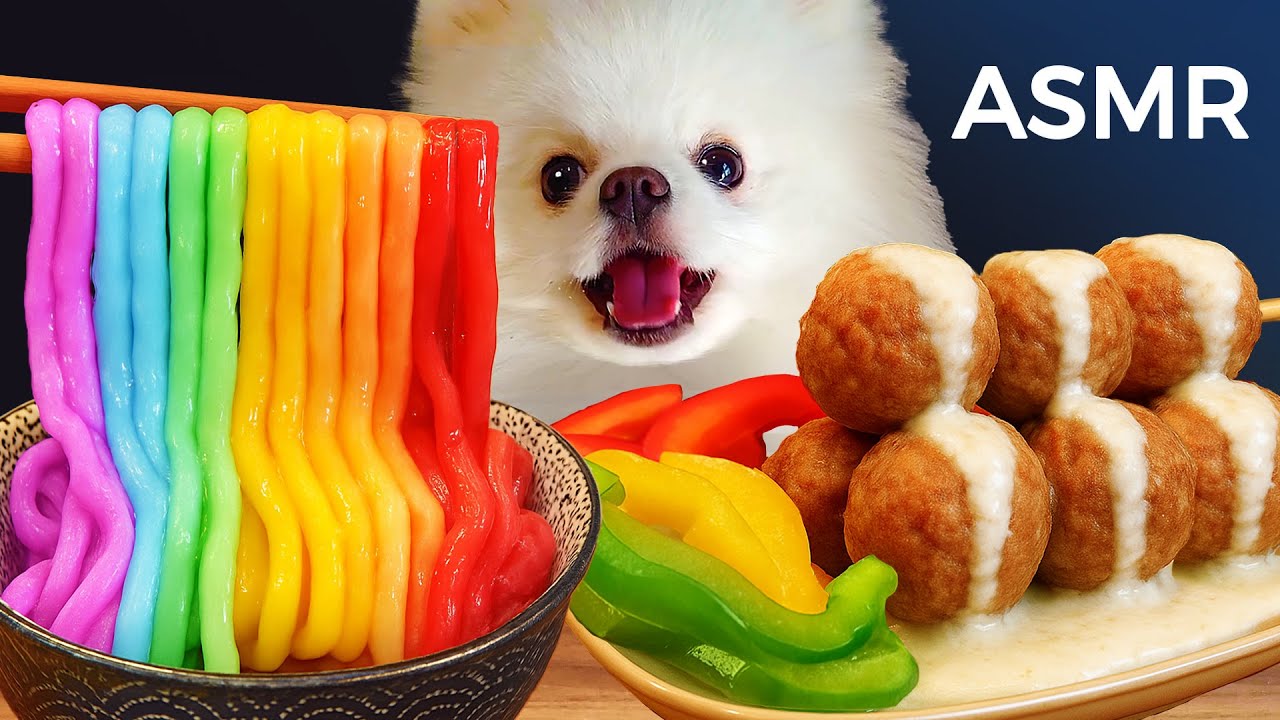 ASMR Mukbang | Yue the Pomeranian Eating Rainbow Noodles And Beef Meatballs