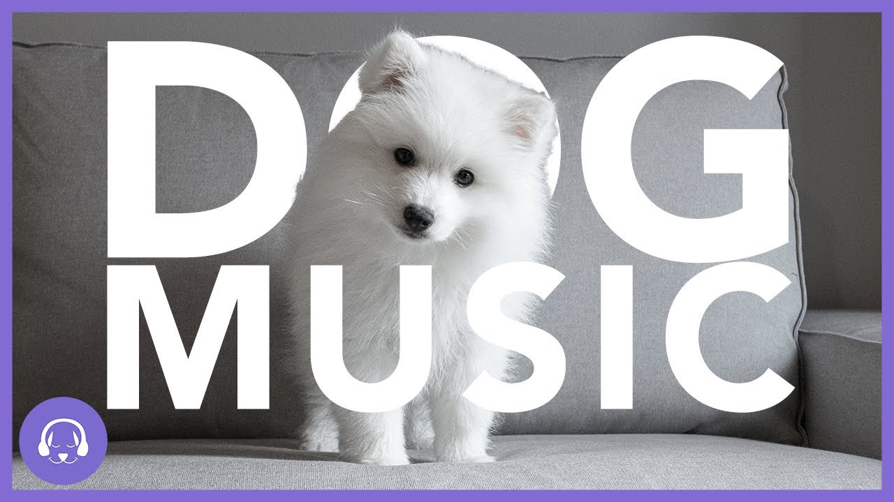 Dog Music Deeply Soothing Music For Dogs Winter Playlist 11 Hours dog-music-deeply-soothing-music-for-dogs-winter-playlist-11-hours