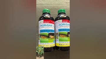 Thuốc xua đuổi ruồi vàng, ong chích trái ớt, trị rầy hại cây ớt sừng vàng, cực hôi, lưu dẫn lâu