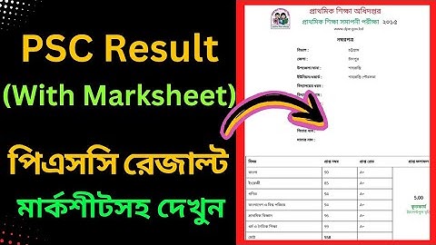PSC Exam Result with marksheet ( পিএসসি রেজাল্ট মার্কশীটসহ দেখুন)