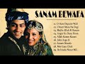 Sanam Bewafa Movie All Songs  Salman Khan _ Chandni top superior music