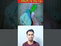 অদ্ভুত রং করার ব্রাশ! দেখলে অবাক হবেন এই ইউনিক আইডিয়া #youtubeshorts #OddlySatisfying
