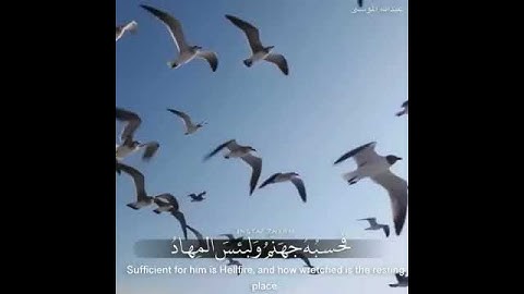 حالة واتس قران كريم بصوت الشيخ عبدالله موسى