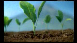 Download lagu TRANS TV 160214 DJARUM COKLAT Anugrah Alam Indonesia 01 00 01 32 00 01 00 00 01 32