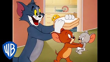 Tom & Jerry em Português | Brasil | As Melhores Babás | WB Kids