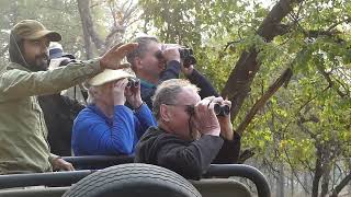 Satpura Tiger Reserve early morning drive - Part 2 of 5 Tiger Reserves of India