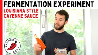 Fermentation Experiment (Cayenne Pepper Sauce)  Pepper Geek