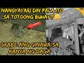 Palagi niyang pinapakain ang Daga, Hindi niya akalain na ito ang igaganti sa kanya ng Daga