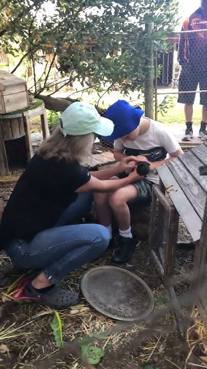 equine-and-animal-therapy-for-autism-youtube