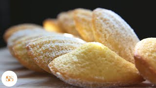 PERFECT Madeleines! The ONLY recipe you will ever need. Soft and Fluffy.