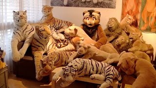 Kitwana's Toys #43: Big, Realistic & Lifelike Lion & Tiger Plush Toys!