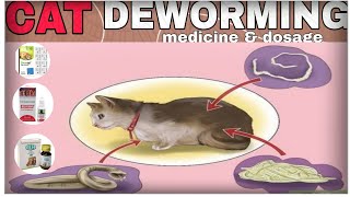 Cat deworming  | Cat deworming | Deworming Medicine | deworming Dosage | cat deworming  कैसे करें by THE PET GUY 15,083 views 1 year ago 3 minutes, 17 seconds