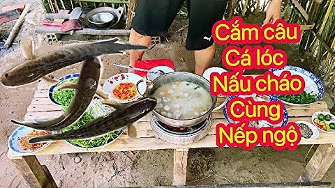 Cắm câu cá lóc và nấu cháo cá lóc rau đắng cùng Nếp với Ngộ