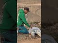 فى حته كده حلوه الفديو ده طالع من البحيره وصلك فين لايك اكسبلور تصميمي فى حته كده حلوه الفديو ده طالع من البحيره وصلك فين لايك اكسبلور تصميمي