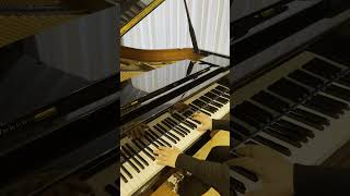 Pıçıldaşın ləpələr - Piano cover by Farida Huseynova
