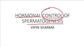 Hormonal control of spermatogenesis process for AIIMS JIPMER.