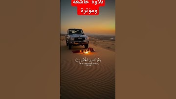 محبي القرآن الكريم #اكسبلور #دويتو #راحة_نفسية #اللهم اجعل القران الكريم ربيع قلوبنا ونور صدورنا