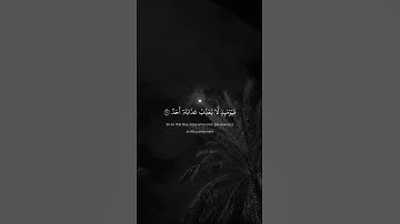 تلاوة هادئة للقارئ رعد الكردي 🤍