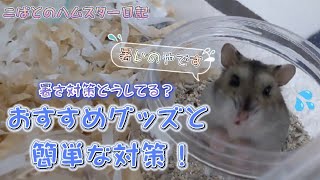 【飼育初心者様必見！】暑さ対策どうしてる？おすすめグッズと簡単な対策！ご紹介