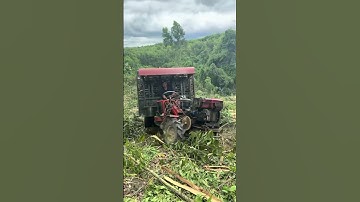 Đang lên dốc mà tụt hết hàng #sonmdrak