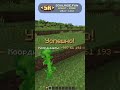 ⚡ Айпи: soulrise.fun ⚡ Тгк: t.me/soulrisefun ⚡ #funtime #soulrise #reallyworld #holyworld #анархия