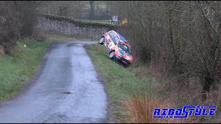 Rallye de la Vienne 2023 Crash, Show By Rigostyle #rallying  #rally #sports