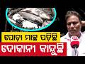 ଦୋକାନୀ କାନ୍ଦୁଛି... | Cuttack Fish Market Fire | Massive Loss | Traders Loss | Odisha | Argus News