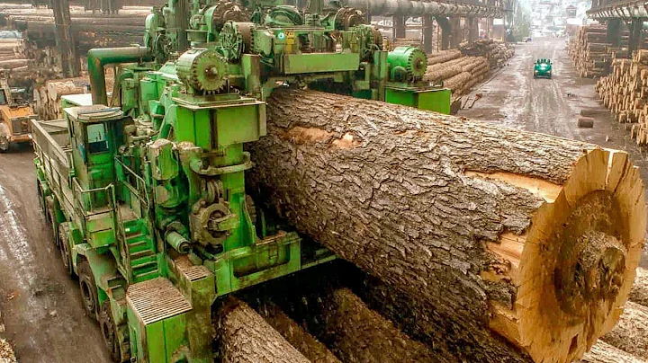 Inside America's Timber Titans Plant Processing 100,000 Board Feet Daily - Modern Sawmill Technology