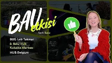 BAU Etkisi | BAU HUB Nedir? Destekleri Nelerdir? - Seda Satır