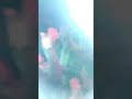 الفنان مشهور يالهوى يالهوى يالهوى الفنان مشهور يالهوى يالهوى يالهوى