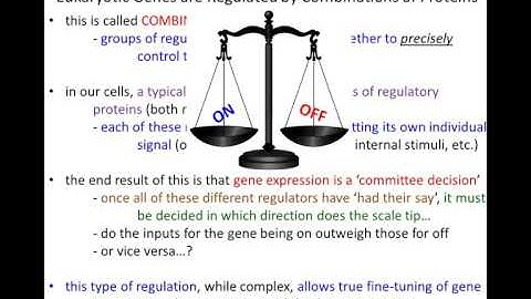 Lecture 8 - Control of Gene Expression - Part 2