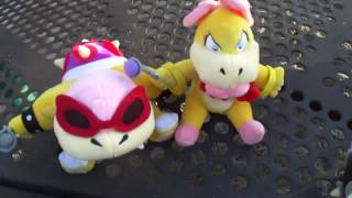 Rainbowcat139 2 Year Special Part 2: KOOPALINGS go to the park??