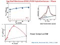 Webinar ferropiezoelectric polymers  030221  bruno ameduri institut charles gerhardt france