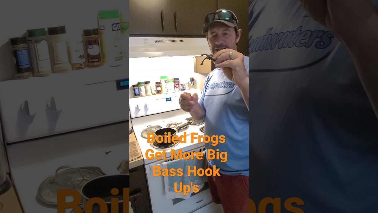 Boiled Frogs Get Big Bass #shorts 