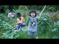 So cute children in countryside help mom collect vegetable for cooking  sreypov life show
