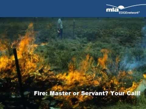 Video: In welke zin is vuur een slechte meester?