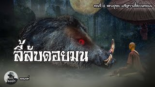 หลวงปู่ชอบ เผชิญความลี้ลับบนดอยมน ผจญหมูป่าตัวเท่าควาย ตอนที่ 11 | หลวงปู่ชอบ ฐานสโม