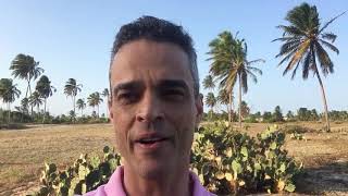 Analgésico para diabéticos melhor