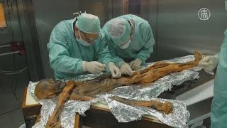Италия: бактерия из мумии раскроет тайны истории (новости)