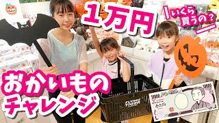 【１万円企画】はじめて１万円おかいものチャレンジをした結果?✨【Vlog】はれママ