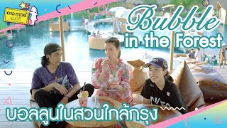 คาเฟ่สไตล์มัลดีฟ Bubble in the forest l Dowtown Family