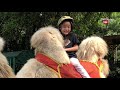 Homeschooling Zara Cute mengenal Hewan Unta | Fakta Unik tentang Binatang Padang Gurun