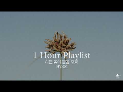 1 Hour HYNN 시든꽃에물을주듯 반복재생 