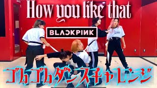 ゴムゴムダンスチャレンジBLACKPINK【How You Like That】by xD（クロスディー）