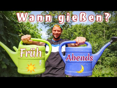 Video: Gießen von Topfpflanzen im Freien - Wann man Kübelpflanzen wässern sollte