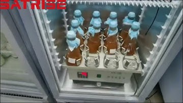 Shake flask liquid culture