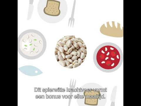 Video: Ingeblikte Witte Bonen Bonduelle - Caloriegehalte, Nuttige Eigenschappen, Voedingswaarde, Vitamines