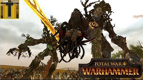 Warhammer: Multiplayer Battle #216 1v1 The Tree Brothers