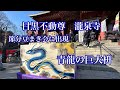目黒不動尊　瀧泉寺　節分会豆まき式の巨大枡　青龍画奉納/ Megurofudoson RYUSENJI temple blue dragon painting dedication